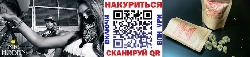 Бошки марихуана ГИДРОПОН  Гусиноозёрск 